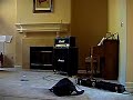 Dimed Marshall JCM 800 2203 Amp Guitar clip JCM800