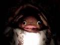 Chinface tells a Ghost Story