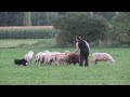 Trening pa?nje ?t. 011 (original) - 2.del