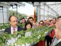 VISITA CONSEJERO AGRICULTURA A PALOS DE LA FRONTERA