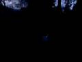 videos de fireworks gone wrong