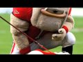 UGA VII Passes