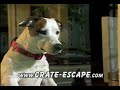 Crate-Escape commercial