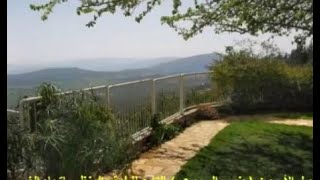 أغيد الأشقر كرس حق السموعي بالعودة بفيديو توثيقي