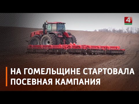 Хозяйства Гомельской области приступили к весенней посевной видео