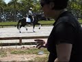 Q Magnífico - PSL Adestramento