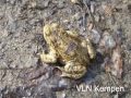 Verein Linker Niederrhein Kempen - Impressionen der Jahreszeiten -