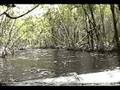 Airboat Rides
