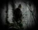 Through the Nontime