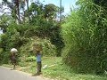 riding a bike in village riding a bike in village