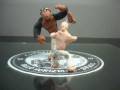videos de Bantus Capoeira Tattoo Reggae Animação