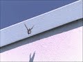 A Bird Filmed in High Speed...