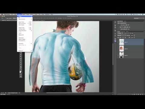 how to define back muscles