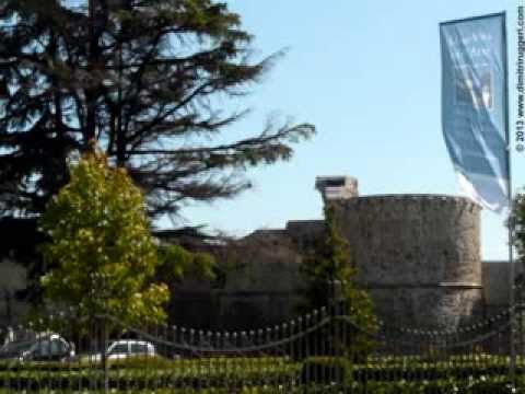 Immagine anteprima YouTube