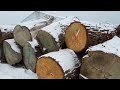 Find us at http://UrbanLumber.com or on Facebook

Horigan Urban Forest Products, Inc.
8110 Monticello Ave., Skokie, IL 60076
(847) 568-1340