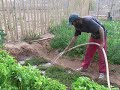 Agricultura Ecologica (1)
