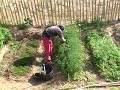 Agricultura Ecologica (1)