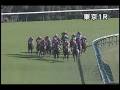 videos de [パトロールビデオ] 081122 5東京5 01R