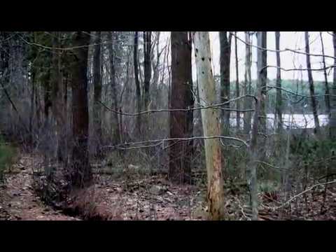 Taiga - This is a video I found about the Taiga Biome... I needed it for a project.