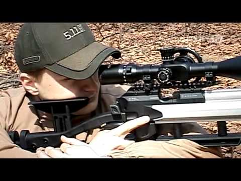 Umarex Hammerli AR20 FT видео
