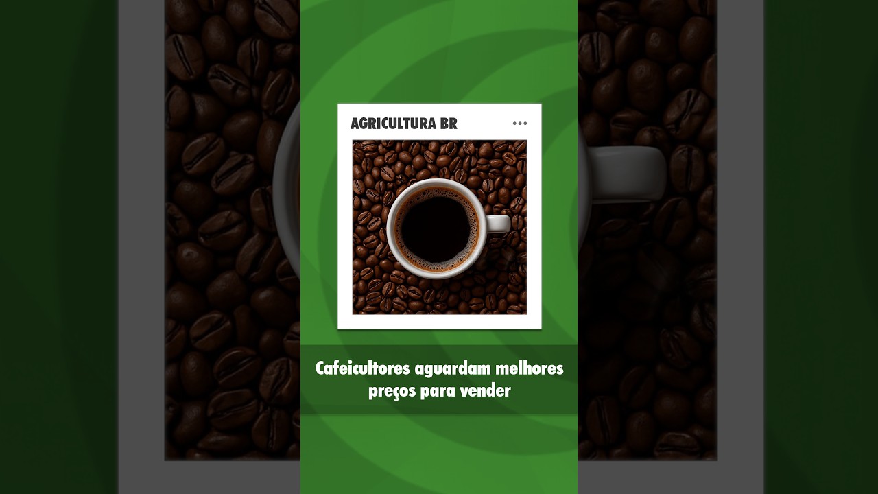 Preços do café limitam ritmo de comercialização