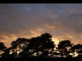 Chopin �tude and 5 preludes op 28 Alfred Cortot