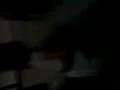 videos de more
