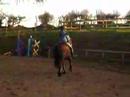 Angelika riding Robbie Angelika riding Robbie