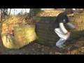 Situs - Autumn Trainings