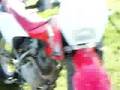 jus 3 dirtbikes lol