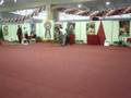 videos de Aragon Pit Red Dragon's AMERICAN PIT BULL TERRIER