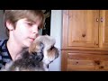 032: TAZ - Magicalchazwicks Dancing Dog