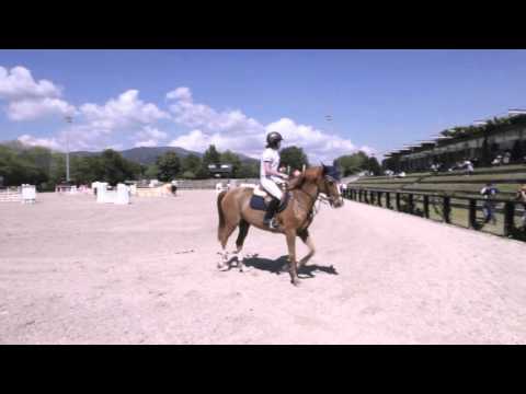 O Concurso de Saltos Internacional de Ponte de Lima, 9.º edição, que este fim-de-semana, 29 de abril a 1 de maio de 2016, reuniu várias dezenas de cavaleiros, na Expolima, revelou-se como um evento equestre internacional de características únicas.