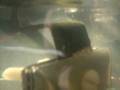 videos de 027.AVI