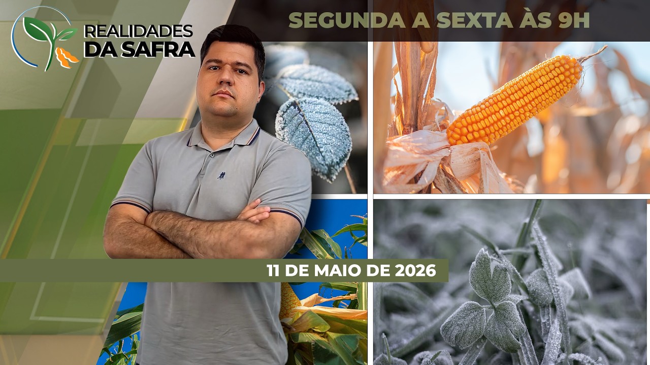 Fim de semana de temperaturas baixas causou geadas em Carazinho/RS e Pato Branco/PR