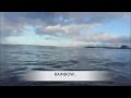 サーフィン,ハワイ,Surfing Hawaii: Kids Early Morning Summer Surf at Ala Moana Bowls