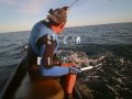 Jetskifishing