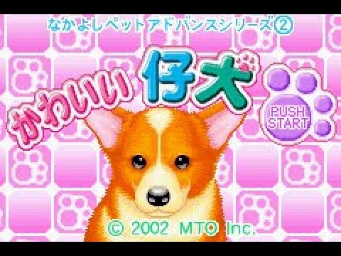 動画