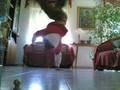 rto breakdance