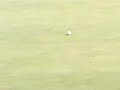 BEST GOLF SHOT IN THE WORLD