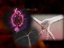 Hidden World opening titles