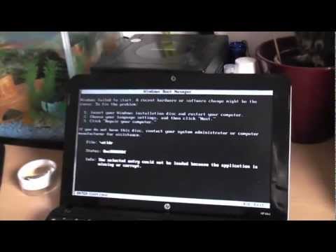 how to enable pxe boot in bios hp
