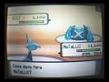 [DP] Wi-Fi Battle: vs HollyGR {Semi-Finals (Part 2) - PF Tournament}