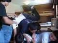 Dog Pile  Full Version with Bonus Feature Edited