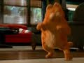 Garfield 1