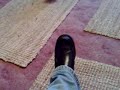 Mentalist Cat
