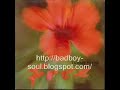 Tammy Payne Free (WEA) 1990