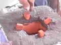 How to Make a Tin Can Rocket Stove How to Make a Tin Can Rocket Stove