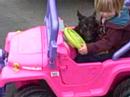 Kaili and Chegg rockin the jeep Kaili and Chegg rockin the jeep