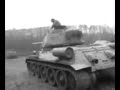 przed bitewka (before a battle)